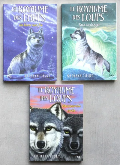 Quel élément te ressemble le plus ?