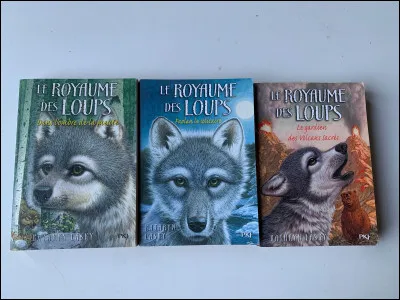 C'est la rentrée ! Que fais-tu ?