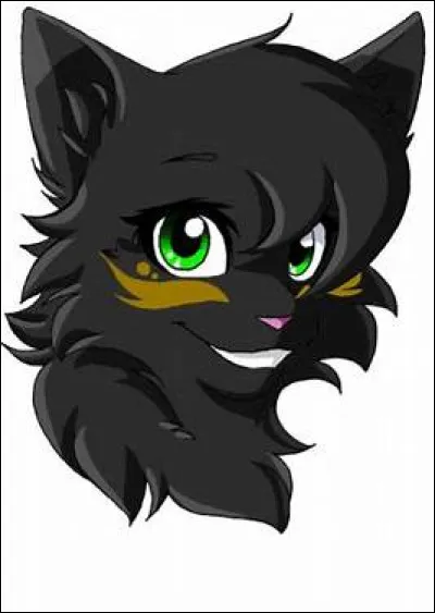 Quel grade aimerais-tu avoir ? (2)