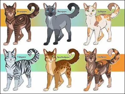 Quel grade aimerais-tu avoir ? (3)