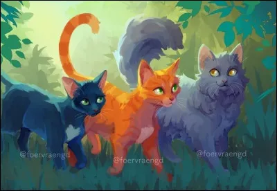 Dernière question (et merci d'avoir joué) ! Imaginons que tu es né sous le nom de Petite Plume... Comment aimerais-tu t'appeler, aujourd'hui ?