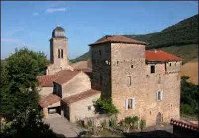 Voici le château de Saint-Geniez-de-Bertrand. Commune Aveyronnaise, rattachée à Saint-Georges-de-Luzençon, elle se situe dans l'ancienne région ...