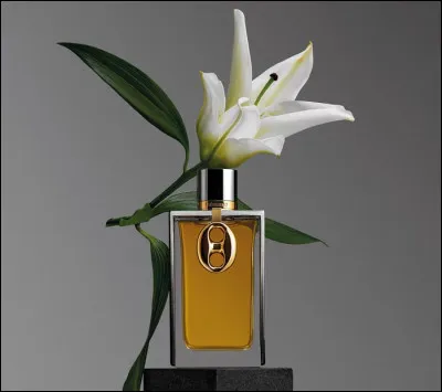 Quant &agrave; vous, messieurs, et pour vous aussi mesdames, pour f&ecirc;ter ce r&eacute;veillon dans une ambiance parfum&eacute;e, lors de la bise de bonne ann&eacute;e, vous aurez choisi l'eau de toilette "Midnight sex". De quel parfumeur ?