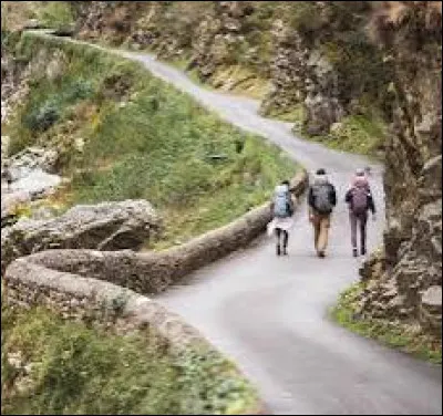 Quel saint le chemin de Compostelle évoque-t-il ?