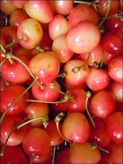 Et la route de Jean Delannoy, en 1953, comment est-elle ?