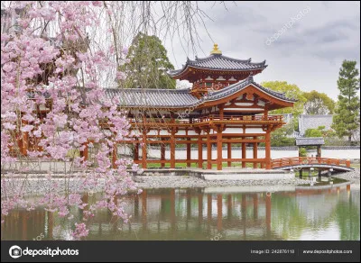 Ls fleurs de cerisier ressemblent aux fleurs de :