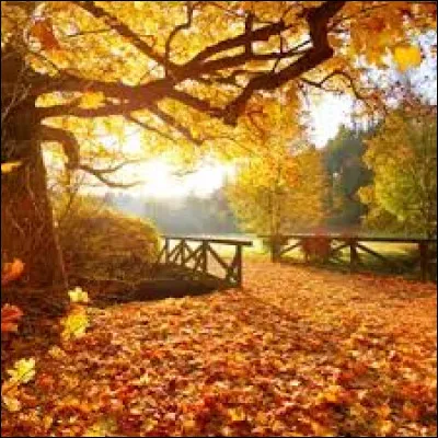 À qui doit-on le recueil de poèmes intitulé "Les Feuilles d'automne" ?