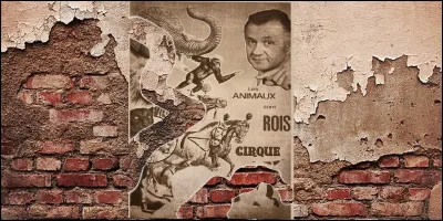 Quel est le nom de ce cirque ?
