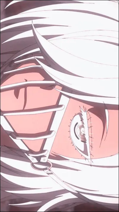 Quel est le nom de ce cosplay ?