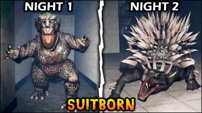 Quelle est la vraie description du Suitborn ?