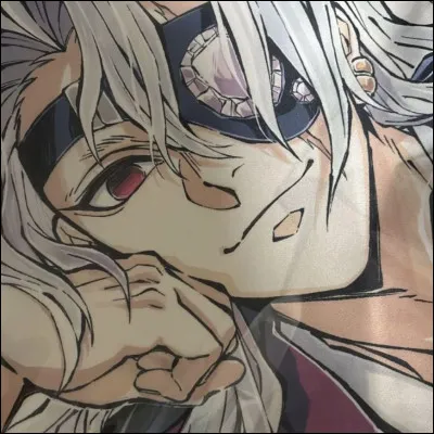 Et voilà maintenant le Pilier du Son : Tengen Uzui.
C'est un fanart ou pas ?