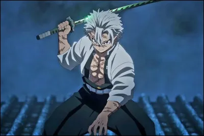 Voici à présent le Pilier du Vent : Sanemi.
Est-ce un fanart ou pas ?