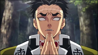 Et voici maintenant le Pilier de la Roche : Gyomei Himejima.
C'est un fanart ou pas ?