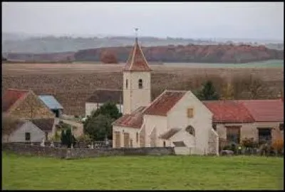 Je vous emmène maintenant à Bussy-la-Pesle. Petit village Nivernais de 53 habitants, il se situe dans l'ancienne région ...