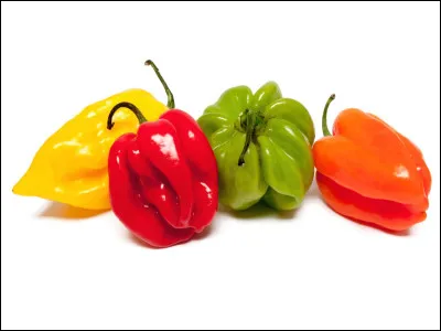 Aimes-tu le piment ?