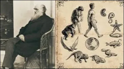 Sur quelle île Charles Darwin finalisa-t-il sa théorie de l'évolution ?