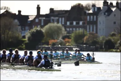 Quelle course d'aviron annuelle se déroule sur la Tamise entre une équipe en bleu clair et une équipe en bleu foncé ?