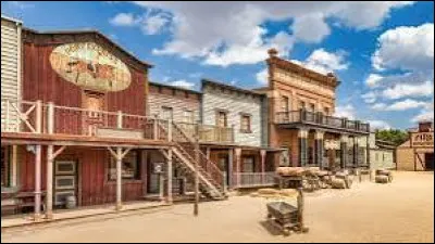 Comment appelle-t-on le western né en Italie ?