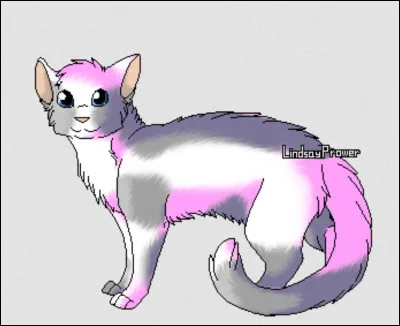 Et Poil de Romarin ?