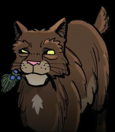 Et Écorce de Chêne ?