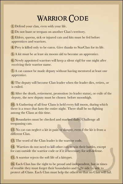 Que penses-tu du Code du guerrier ?