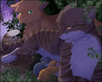 Combien de chatons a-t-il ?