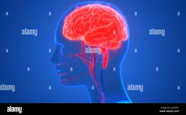 Quiz Science