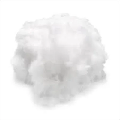 Qui a chanté "C'est la ouate" ?