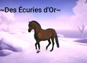 Quiz ETG - Les races