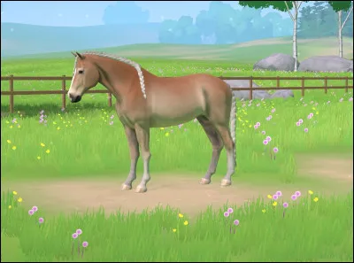 Et cette derni&egrave;re race est :