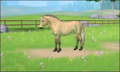 De quelle race est ce cheval ?