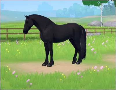 De quelle race est ce cheval ?