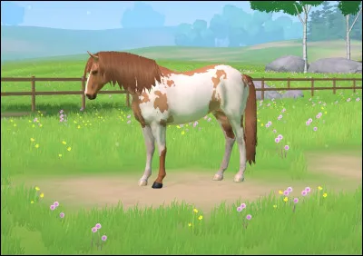 De quelle race est ce cheval ?