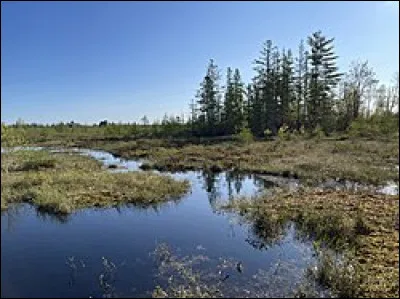 Aimes-tu les mar&eacute;cages ?