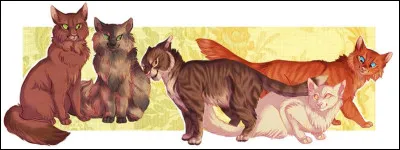 Aimes-tu &Eacute;toile Fauve ?