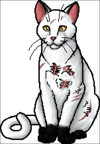 Aimes-tu &Eacute;toile de Jais ?