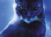 Quiz LGDC - Les personnages du Clan de l'Ombre du cycle 1 !