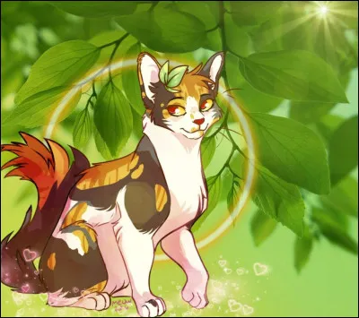 Quel sentiment des autrices est vrai ?