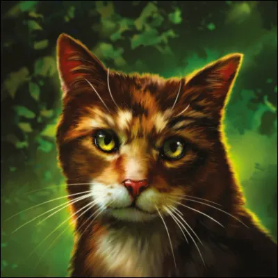 Comment est-elle morte ?