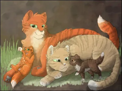 Guérisseuse qui a enfreint 2 codes : qui est-ce ?