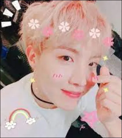 Quel &acirc;ge a J-Hope ?