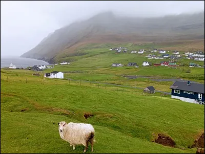 Voyons maintenant quelques-uns des endroits les plus spectaculaires de l'archipel. N'hésitez pas à vous aider des indices pour les questions qui suivent. Quel est ce village de l'île de Viðoy qui constitue la communauté la plus septentrionale des Féroé ?