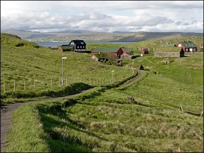 Terminons sur une note moins idyllique. Hélas, bien que la préservation de la nature y soit une préoccupation majeure, les Féroé demeurent l'une des rares nations au monde à encore pratiquer de nos jours une tradition très controversée. De quoi s'agit-il ?