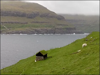 Selon l'étymologie la plus couramment admise, l'archipel tire son nom du mot "fær" en vieux norrois. Quelle en est la signification ?