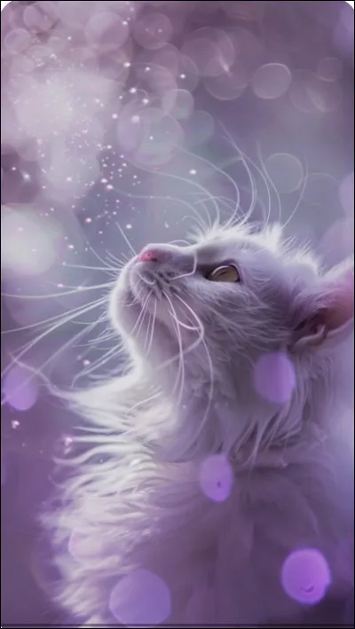 Guérisseuse qui a un mentor qui ne croit pas au Clan des Étoiles : qui est-ce ?