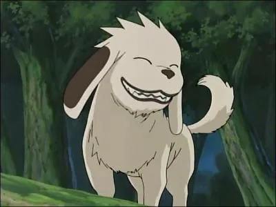 Que veut dire 'aka' dans Akamaru ?