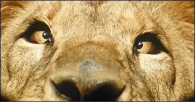 Courant qui fournit de l'éléctricité.