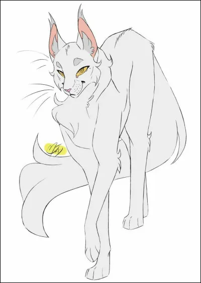 Qui est le premier chat à être l'apprenti de Tornade Blanche ?