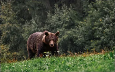 J'ai failli disparaître dans les Pyrénées.