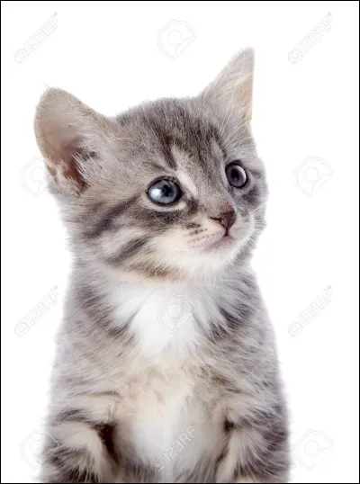 De quoi as-tu le moins peur ? (2)